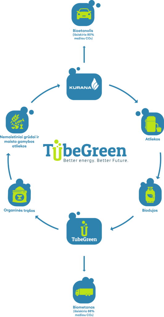 Tube Green gamybos proceso schema